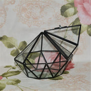 Diamond Shape Hanging Glass Terrarium