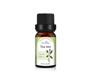 Natural Plant Essential Oil