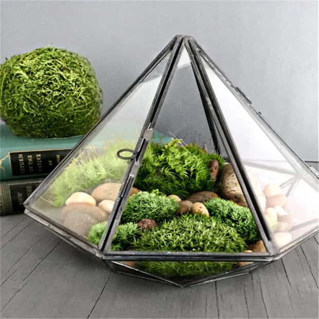 Diamond Shape Hanging Glass Terrarium